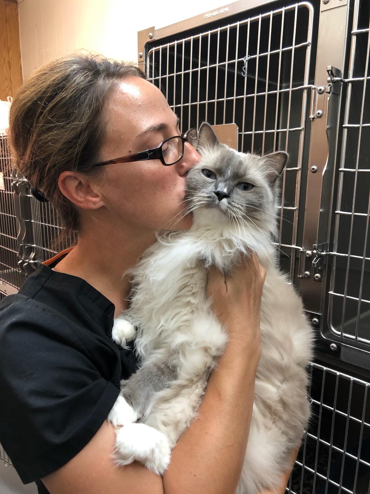 Arlington Pet Hospital_cat And Tech